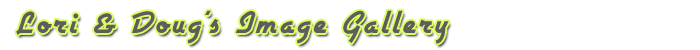 caveny.us:: welcome to Lori & Doug's personal home pages.